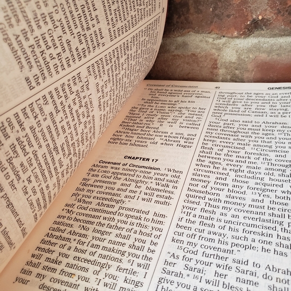 New American Bible - Picture 5 of 6